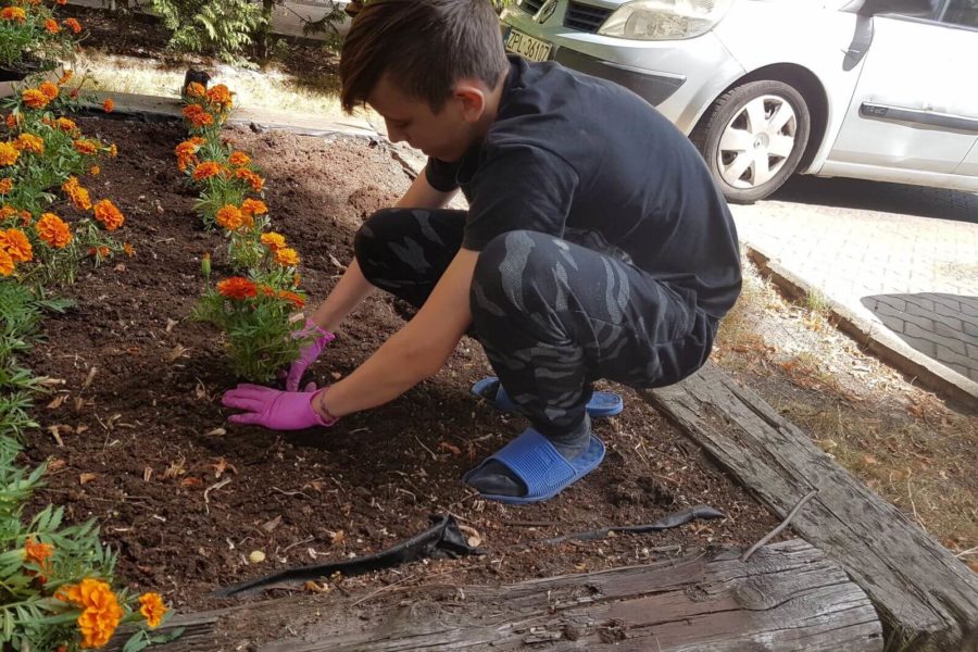 młody mężczyzna sadzi kwiatki